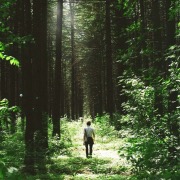 людина в лісі