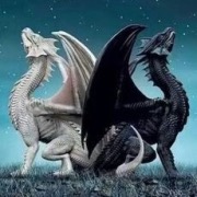 два дракона