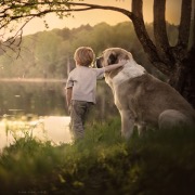 Хлопчик і собака