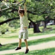Хлопчик на дереві