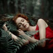 спляча в лісі дівчина